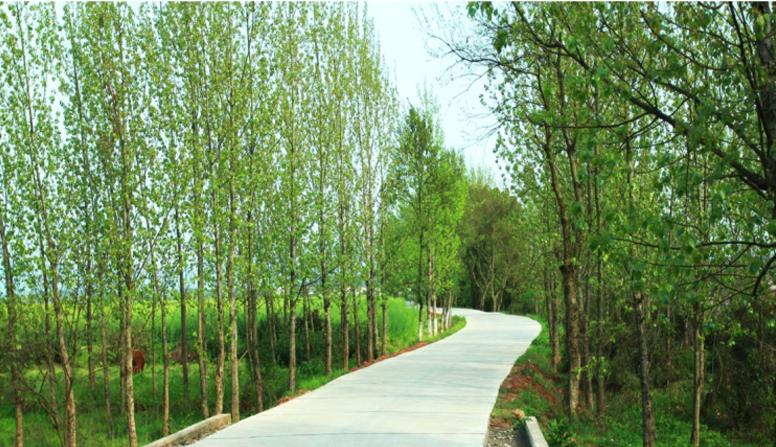 江西信豐縣工業(yè)園科之光路（緯二路）新建大道、產(chǎn)業(yè)大道北段一期工程設(shè)計(jì)、施工總承包（EPC）